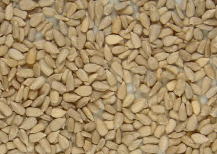 CCD Camera Sunflower Kernel 2t/H Color Sorter Machine 256 Channels