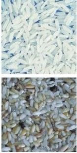 Coffee Color Sorter Machine With Stainless 304 Food Grade Hopper