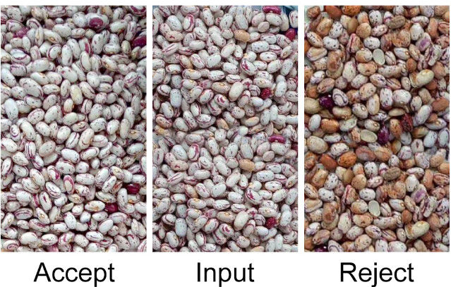 Automatic CCD RGB Bean Color Sorter