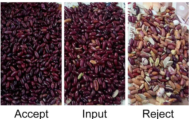 Automatic CCD RGB Bean Color Sorter
