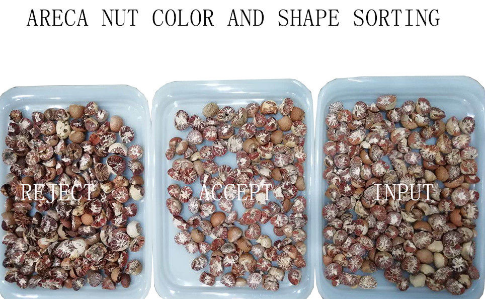 256 Channels Nuts Color Sorter 4 Chutes 99% Sorting Accuracy