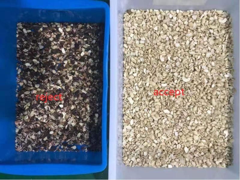 256 Channels Nuts Color Sorter 4 Chutes 99% Sorting Accuracy