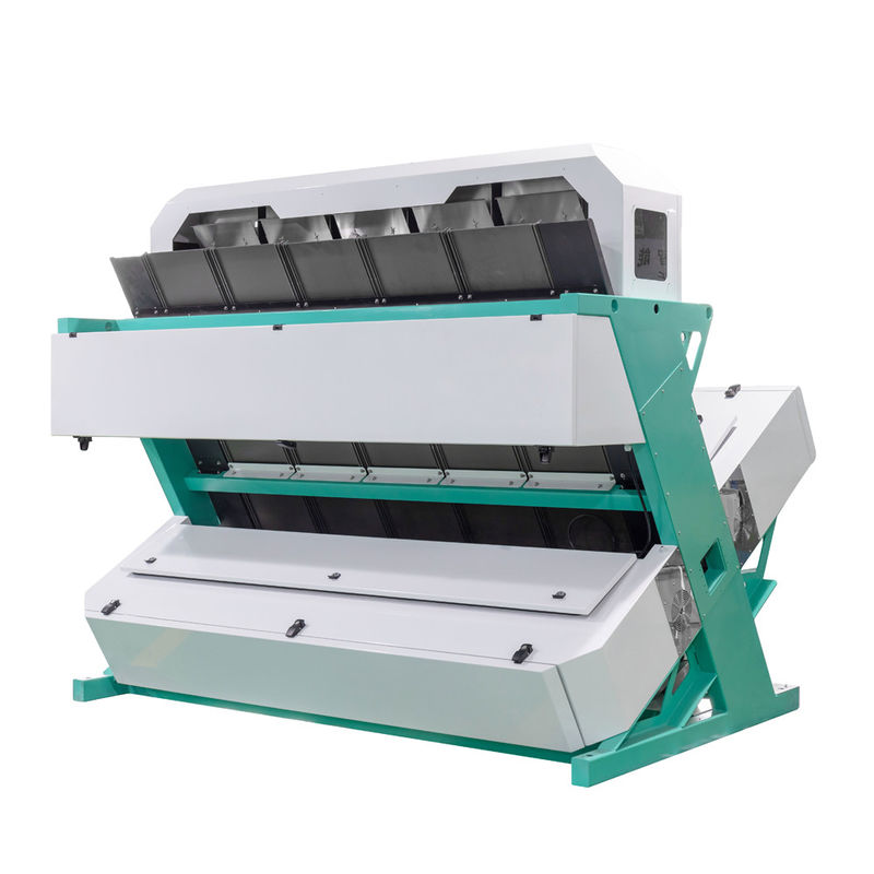 Wenyao High Capacity 1000kg CCD Cilantro Seed Color Sorting Machine Parsley Seed Color Sorter