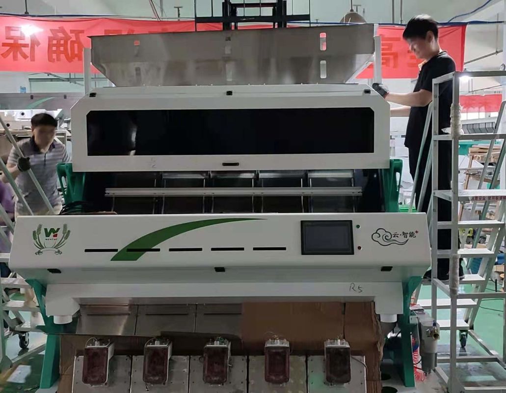 Dall Soybean Lentils Optical Rgb Camera Color Sorting Machine 5000kg/H Throughput