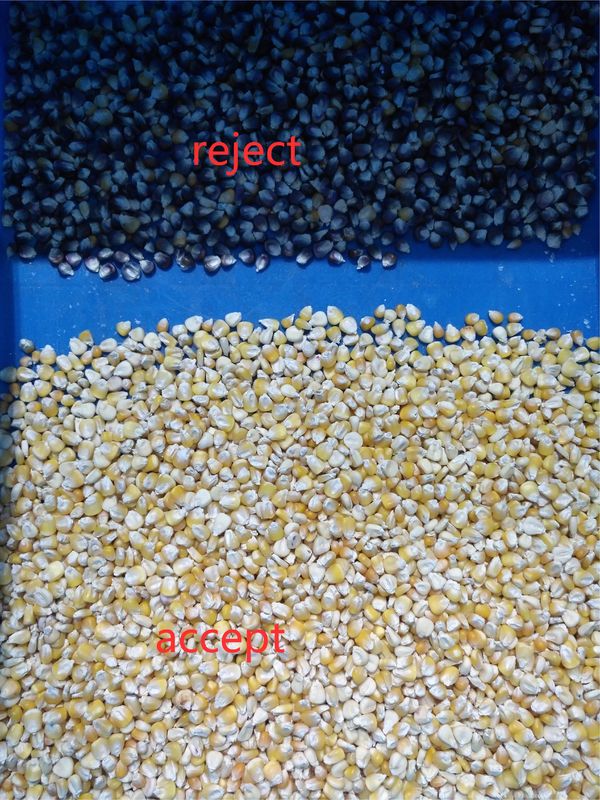 Easy Operation full automatic Grains Color Sorter with artificial intelligence