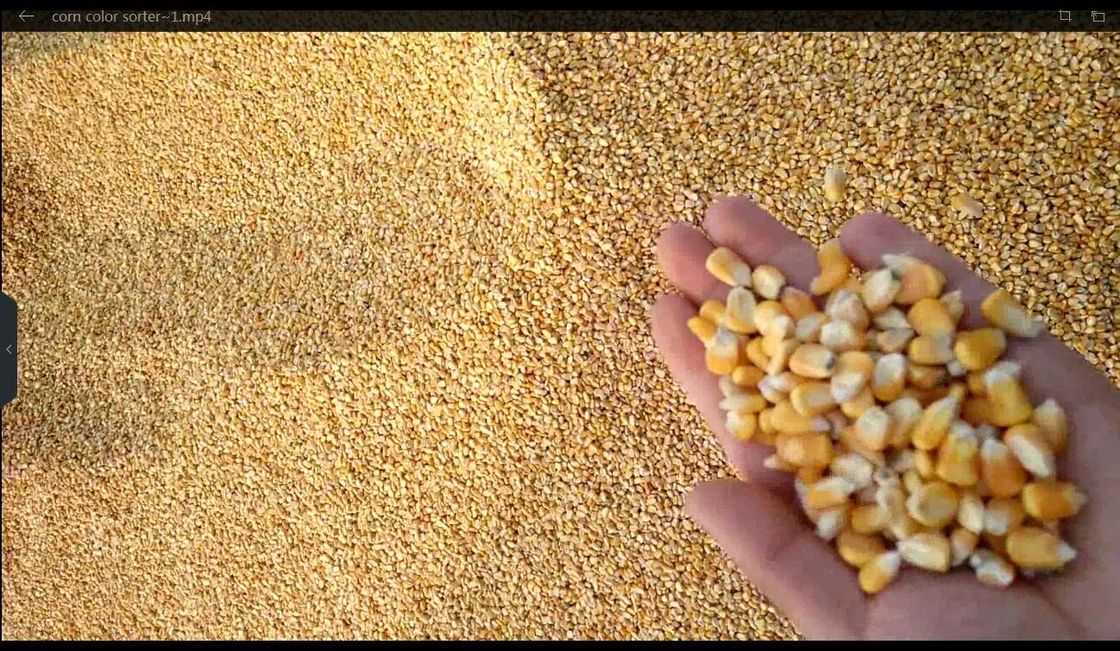 Easy Operation full automatic Grains Color Sorter with artificial intelligence
