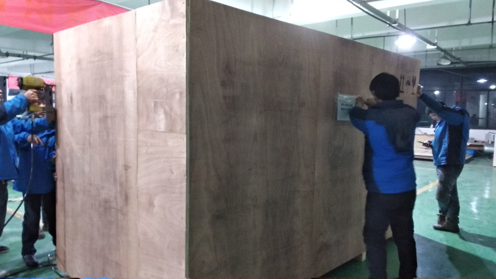 Multifunction 8 Chutes Channels Ccd Color Sorter For Coffee Bean