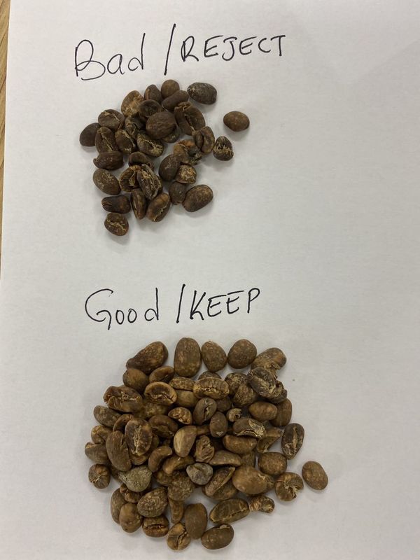 Multifunction 8 Chutes Channels Ccd Color Sorter For Coffee Bean