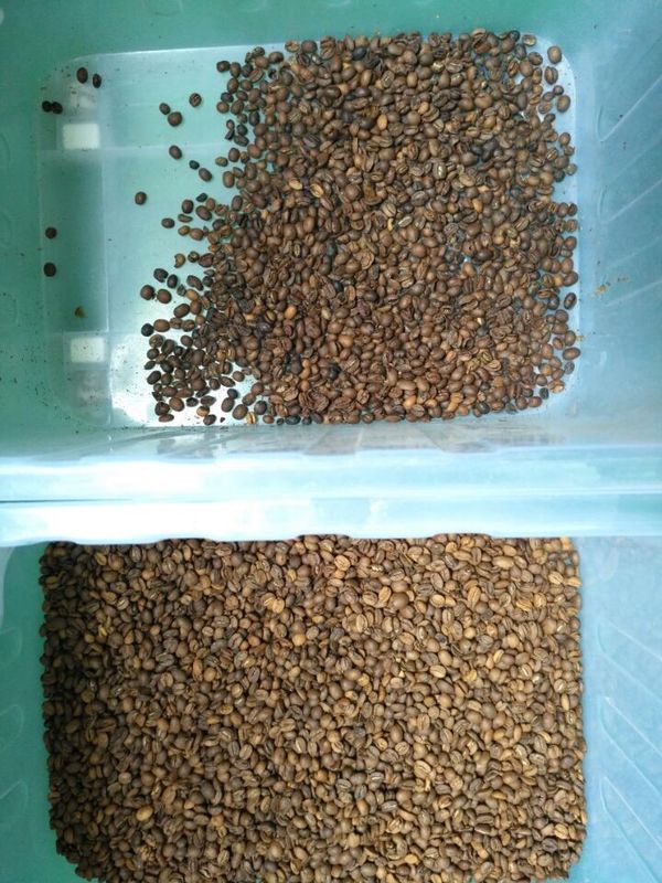 Multifunction 8 Chutes Channels Ccd Color Sorter For Coffee Bean