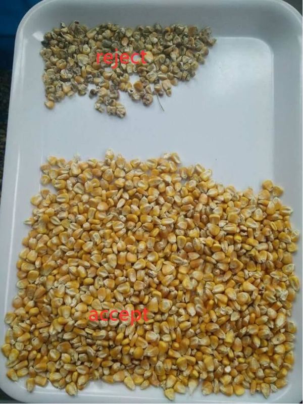 2 Chutes Toshiba HD Corn Color Sorter For Wheat Grain Beans