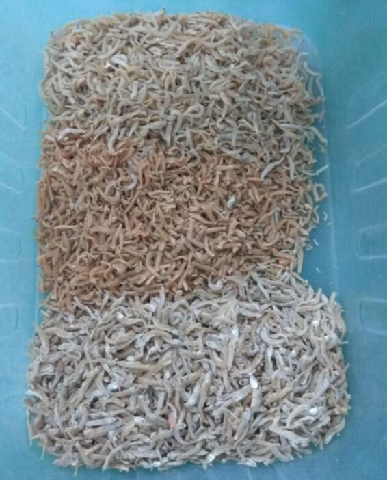 High Efficiency RGB Nir Sensor Color Sorter For Dry Shrimp Sorting