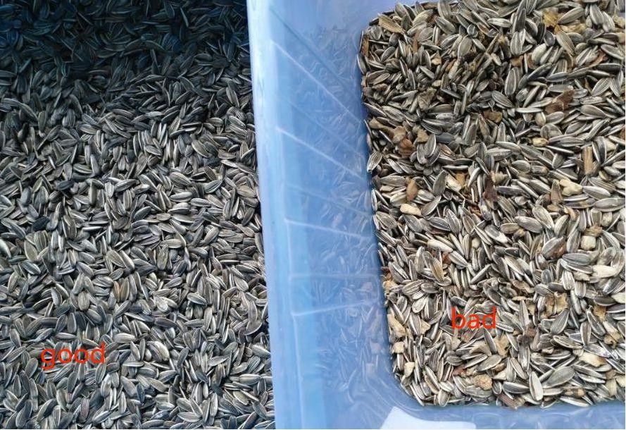 2 Chutes 3Tons/H Capacity Sunflower Seeds Color Sorter for Rice Wheat