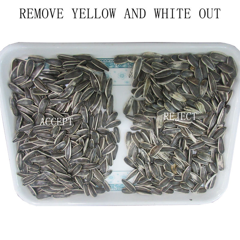 2 Chutes 3Tons/H Capacity Sunflower Seeds Color Sorter for Rice Wheat