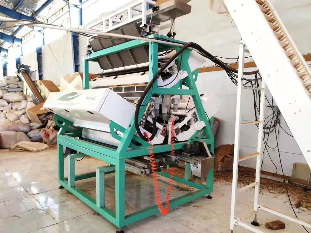 FPGA Chip Black Green Tea Color Sorter Machine With Japan CKD Filter