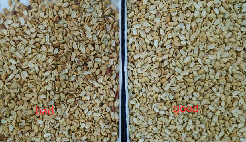 Agricultural Machinery Peanut Color Sorting Machine Peanut Color Sorter