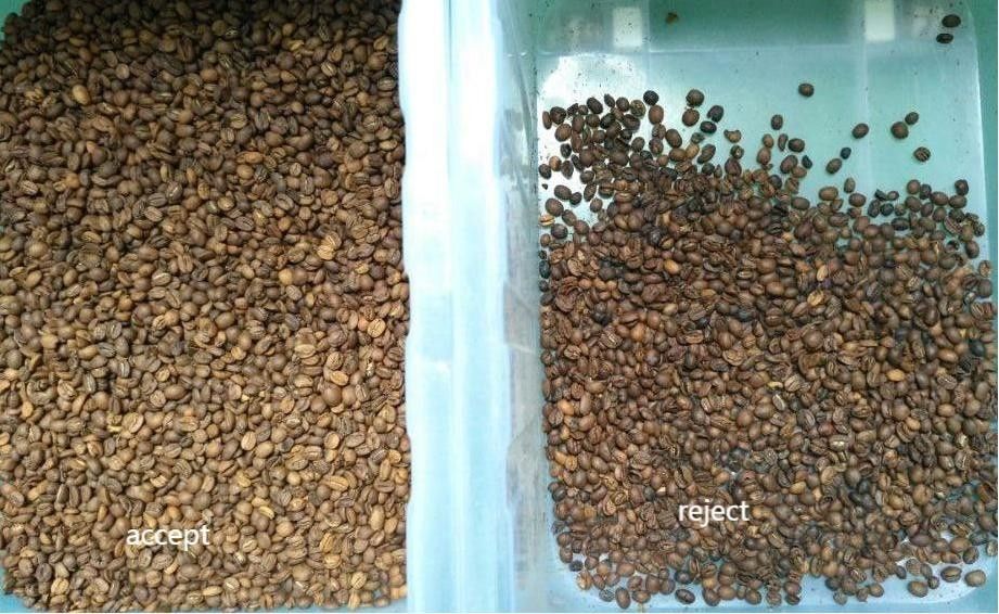 Wenyao 1 Chute 500kg/h High Output CCD Color Separator Roasted Coffee Beans Color Sorting Machine Green Bean Color Sorter