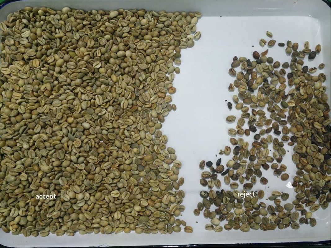 Wenyao 1 Chute 500kg/h High Output CCD Color Separator Roasted Coffee Beans Color Sorting Machine Green Bean Color Sorter