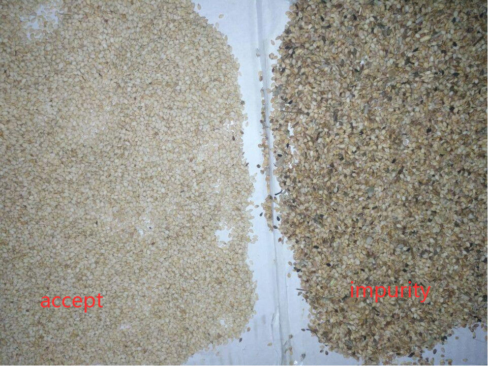 Sesame Toshiba imaging capture HD Colour Sorter Machine with CCD sensor