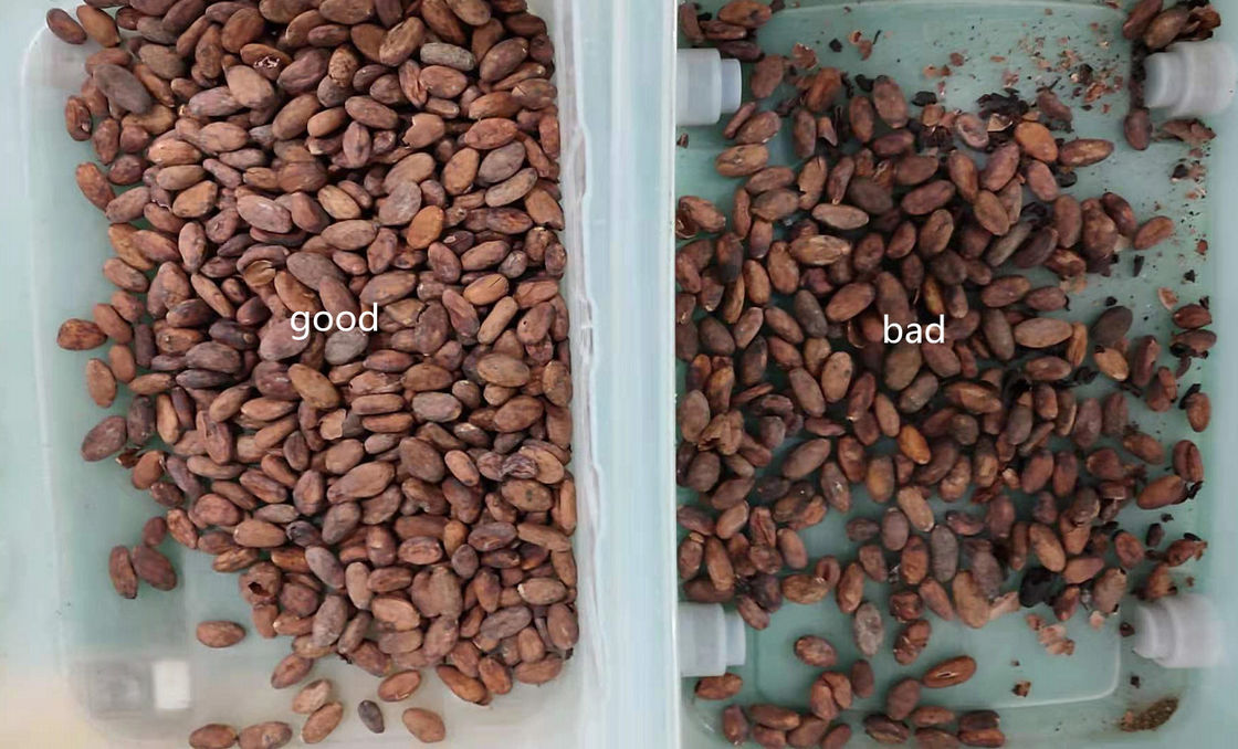 Belt Type 1.5Kw Cocoa Beans Sorting Machine With High Pixel CCD Camera