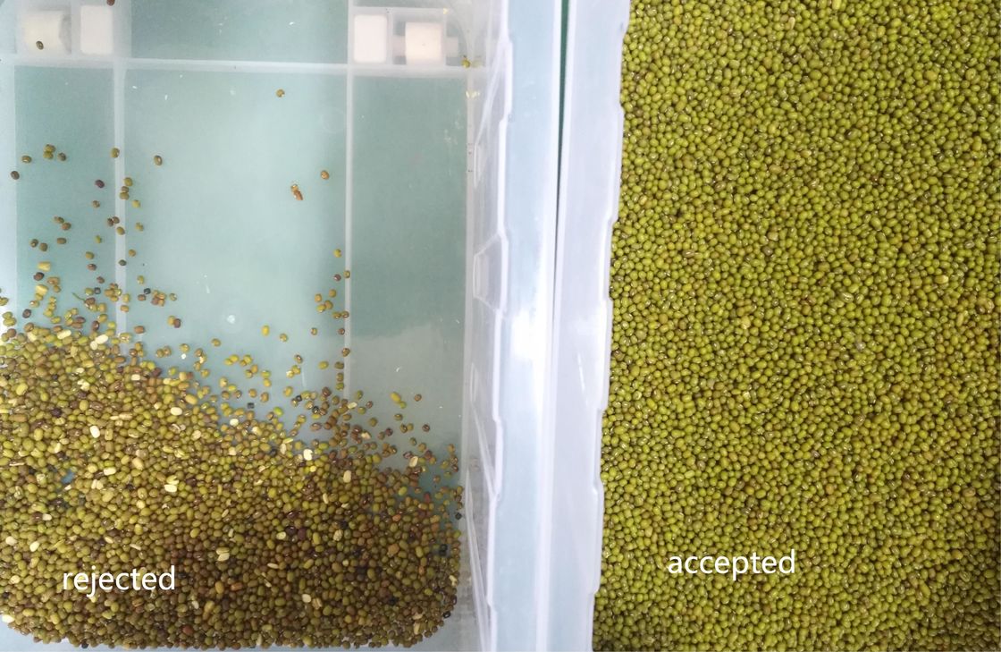 192 Channels MultiFunction Mung Bean Color Sorter Machine 3000kg/H