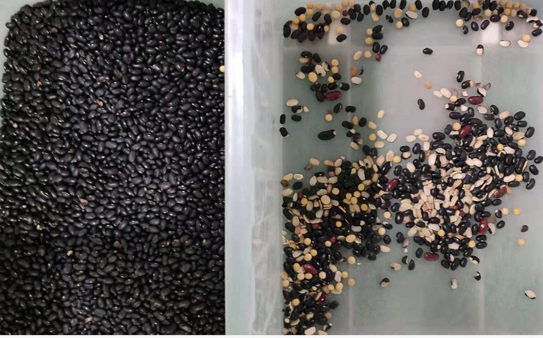 Red Yellow Soya Bean RGB Camera Beans Color Sorter With Nikon Lens