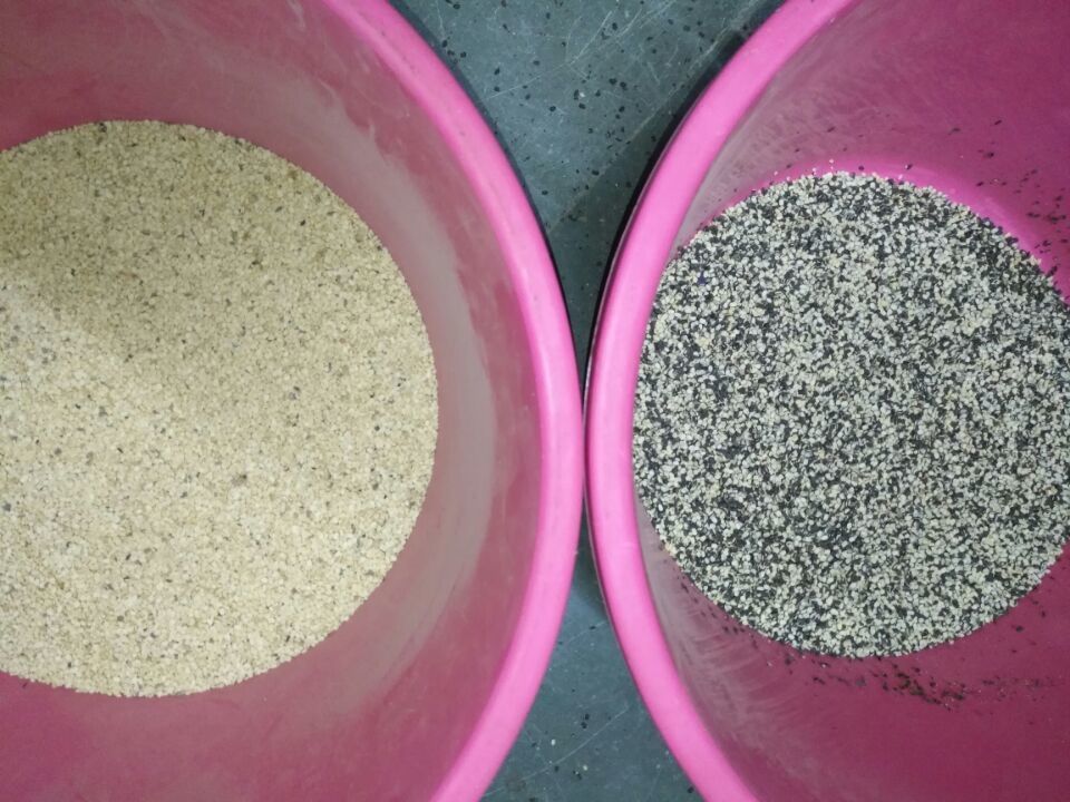 Lentil Color Sorting Machine Lentil Color Sorter Dal Sorter Machine