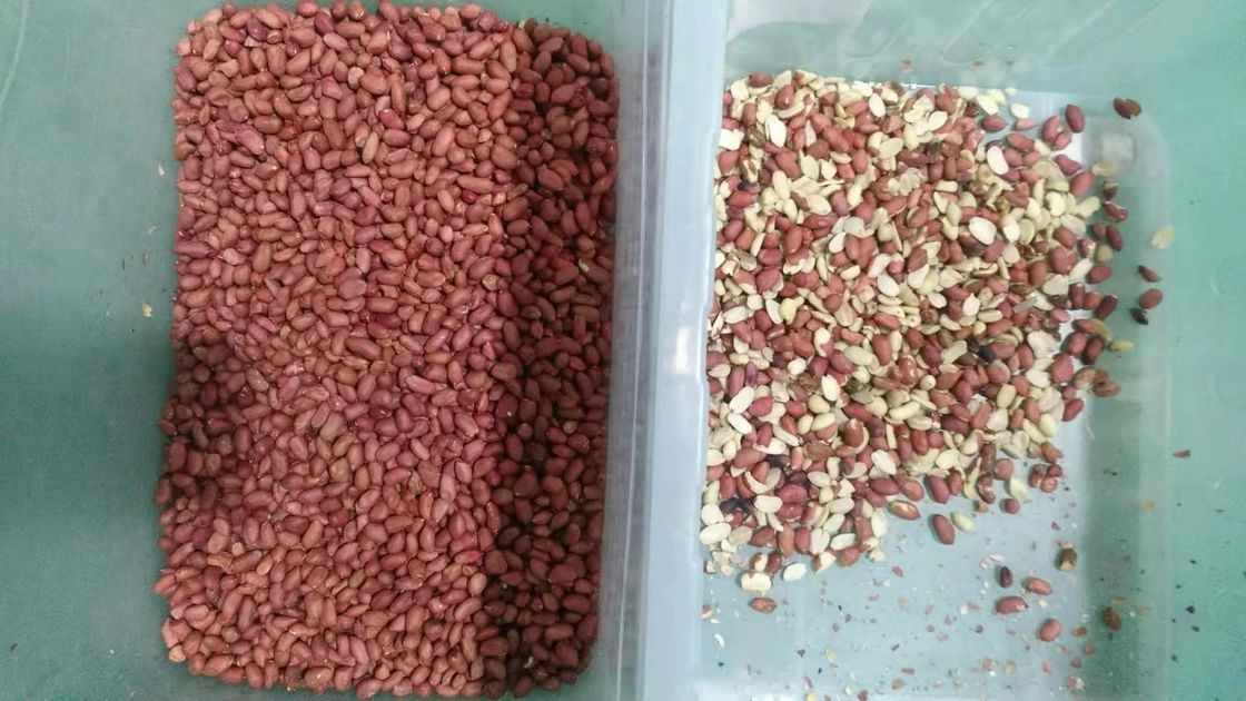 7 Chutes Nuts Color Sorter Automatic CCD With Wifi Remote Control