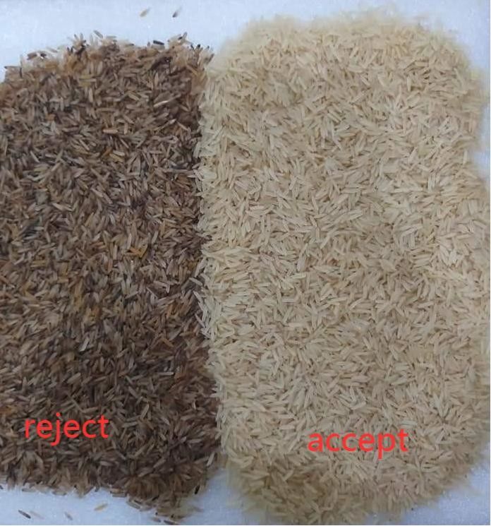 1 Chute Small Parboiled Rice Color Sorter High Sorting Accuracy