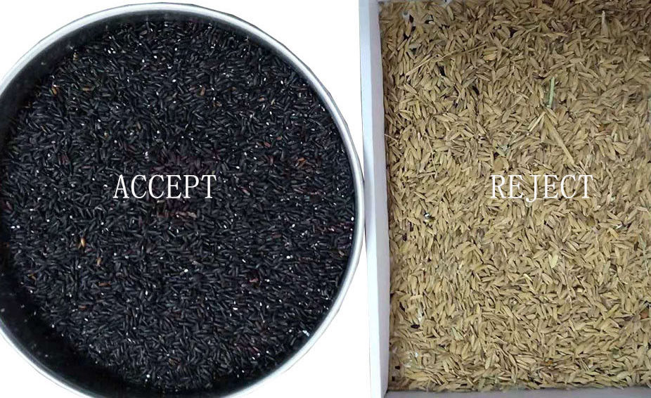 CCD Sensor Parboiled Rice Color Sorter With Toshiba HD Imaging Capture
