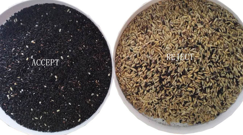CCD Sensor Parboiled Rice Color Sorter With Toshiba HD Imaging Capture