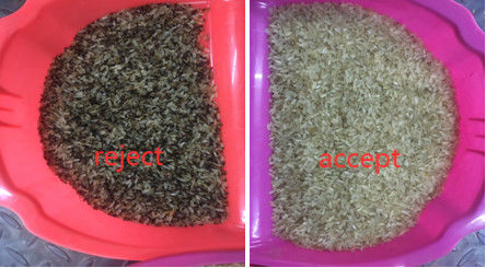 CCD Sensor Parboiled Rice Color Sorter With Toshiba HD Imaging Capture
