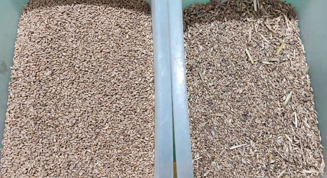 Optical Mini 1 Chute Wheat Color Sorter With  CCD High Precision