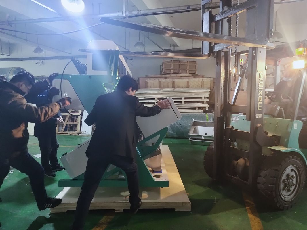 7 Chutes Multifunction Color Sorter For Cardamom Grading