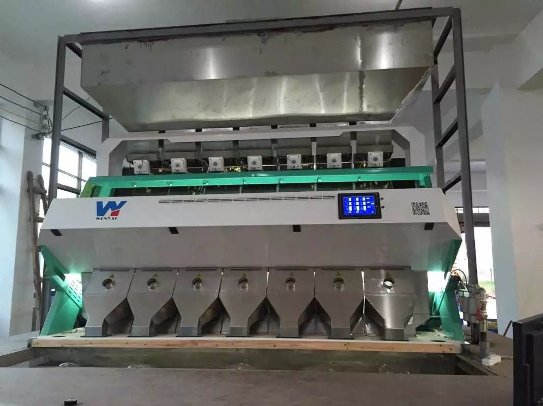 Warranty 2 Years 384 Channels Coriander Seeds Color Sorter Toshiba CCD Sensor