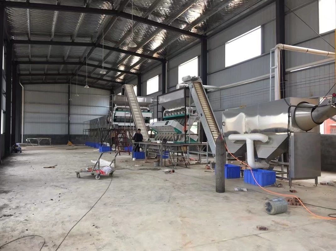 7 Chutes Almond RGB Nuts Color Sorter Machine For Apricot Kernels