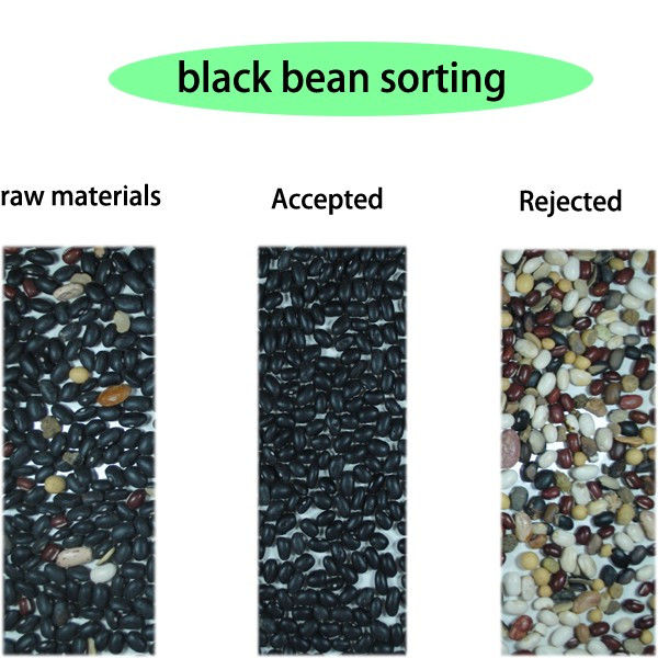 3 Chutes Soybeans CCD Color Sorter 3000kg/H Toshiba HD Imaging