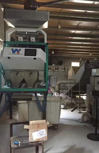 128 Channels Sesame Color Sorter Machine Sesame Color Sorting Machine
