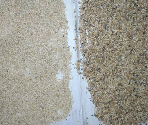 128 Channels Sesame Color Sorter Machine Sesame Color Sorting Machine