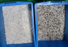 Ore Color Sorter Quartz Barite Color Sorter With The Capacity 2 Tons/H