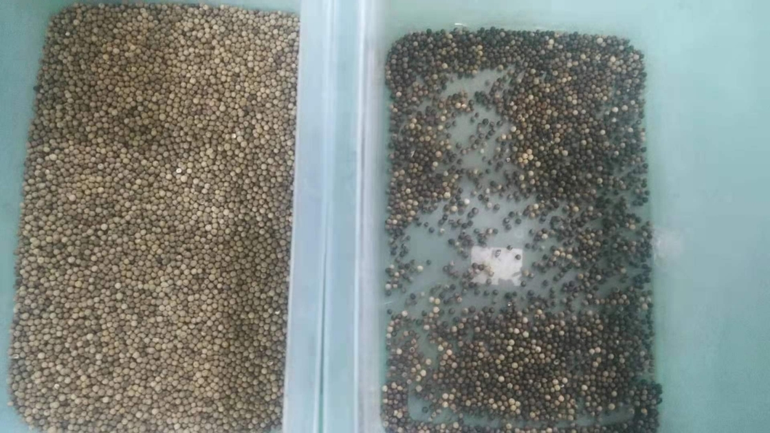 High Definition 4 Chutes Pepper Sorting Machine For Seed Spice