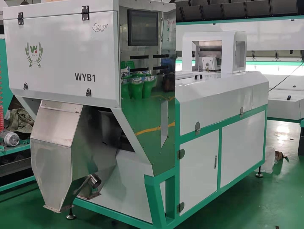 Walnut Ccd Belt Color Sorter 99.99% Sorting Accuracy