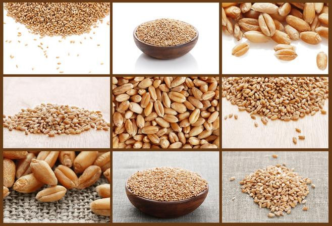 White Sesame Barley Melon Seeds Rice Color Sorter Multifunction