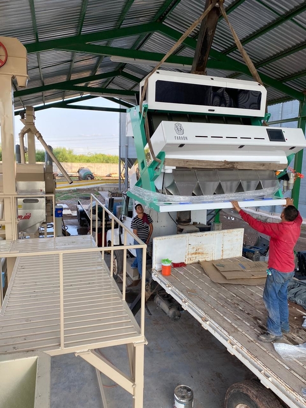 Brown Rice Color Sorter Machine For Separating Bad Quality Rice