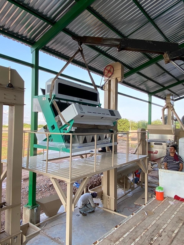 Brown Rice Color Sorter Machine For Separating Bad Quality Rice