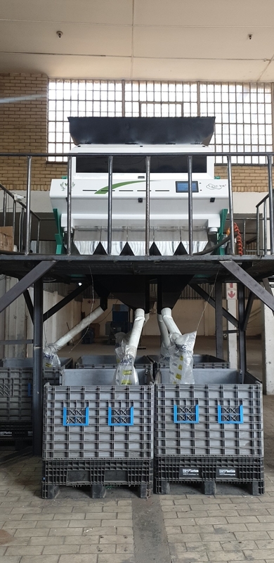 Brown Rice Color Sorter Machine For Separating Bad Quality Rice