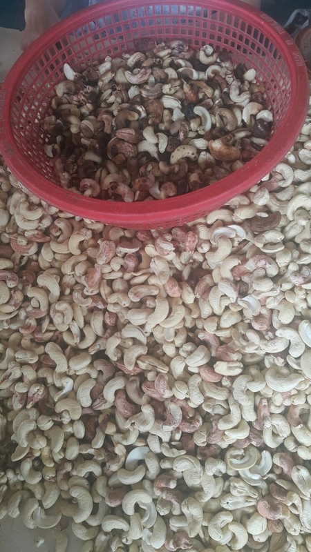 Mini Cashew Color Sorter Cashew Color Sorting Machine With 2 RGB Cameras 32 Channels
