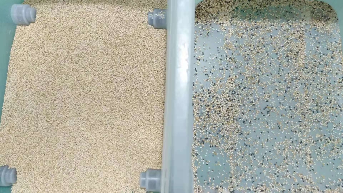 Sesame Pepper Color Sorting Machine With CE Certificate