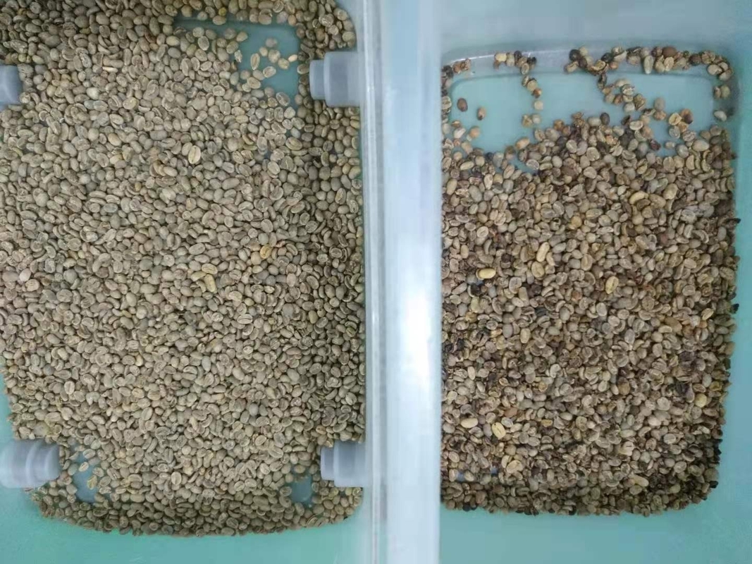 3 Chutes 192 Channels Coffee Bean Color Sorting Machine Wenyao