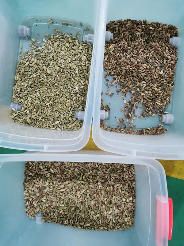 Multipurpose Beans Color Sorter 32 Chute Intelligent