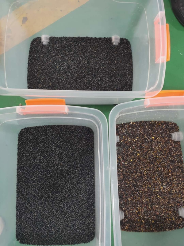 Multipurpose Beans Color Sorter 32 Chute Intelligent
